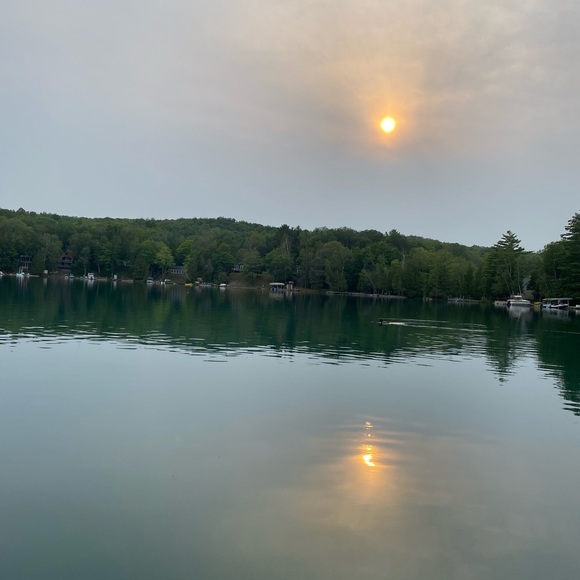 Meet your Posher, Elizabeth - Picture 1 of 1